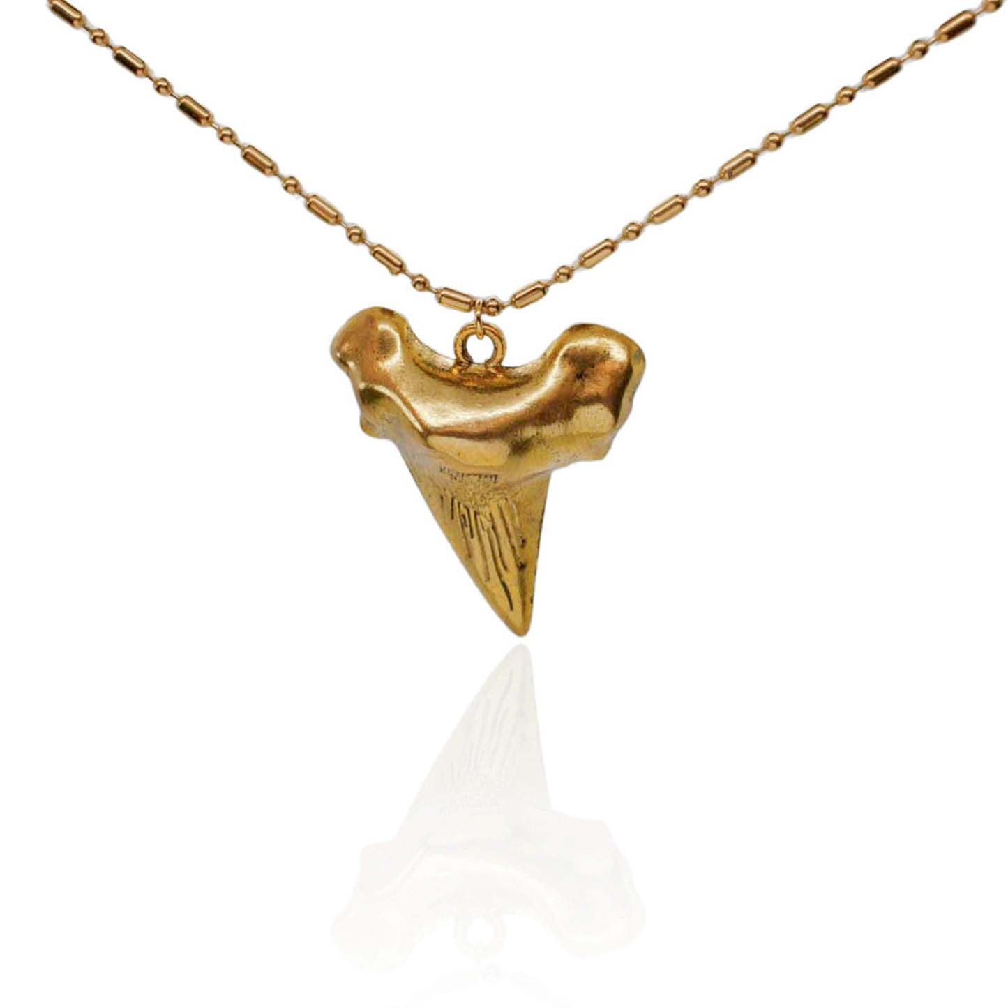 Shark Tooth Necklace